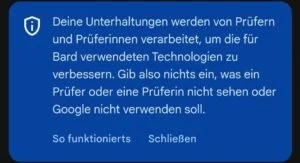 Echte Menschen prüfen Deine (Ex-Bard) Gemini Chats