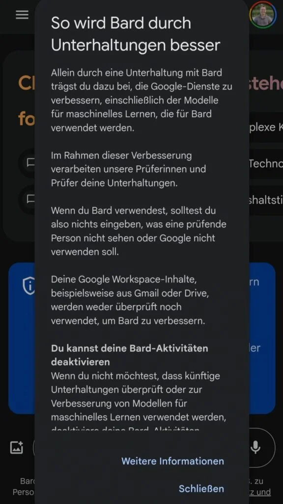 Echte Menschen prüfen Deine (Ex-Bard) Gemini Chats
